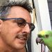 Profile Picture of Armando Lopes (@armando19147) on Pinterest