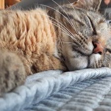 Profile Picture of Ivy Schneider (@schneider_ivy) on Twitter