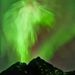 Profile Picture of Joel Mullins (@joelsrealmail) on Pinterest