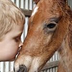 Profile Picture of Tracey Munn (@tracey.chinnick.7) on Instagram