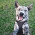 Profile Picture of Clay Honeycutt (@clay.honeycutt.9) on Facebook