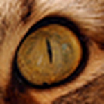 Profile Picture of Isabel Martinez (@m_isabel_martinez) on Flickr