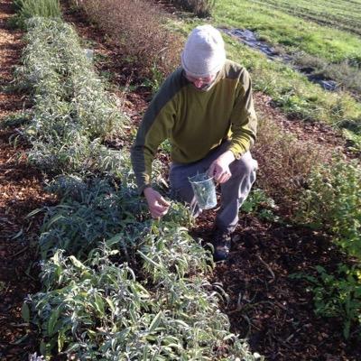 Profile Picture of Bill Vingelen (@farmerbillv) on Twitter