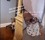 Profile Picture of   Lillian Vaughn... (@lillianvaughn5) on Tiktok