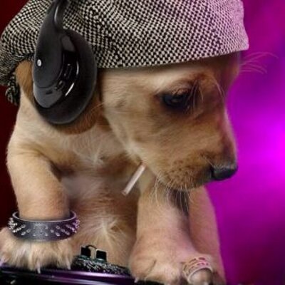 Profile Picture of Jacob Abney (@abney41) on Twitter