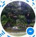 Profile Picture of Daniel Barbagallo (@daniel.barbagallo.33) on Facebook