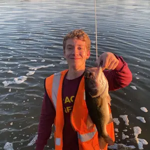 Profile Picture of ethan.m (@ethan_mikulec) on Tiktok