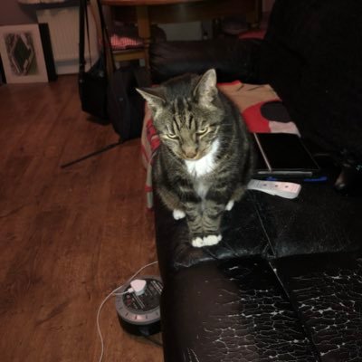 Profile Picture of Mark Hobson (@TriggerHobson) on Twitter