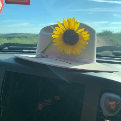 Profile Picture of Patrick Wessels (@PatrickWessels4) on Twitter