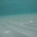 Profile Picture of Aidan McCormick (@aidan_mccormick_33) on Instagram