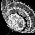 Profile Picture of Garin (@garinmoore13) on Instagram