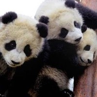 Profile Picture of Leah Maddison (@leah-maddison-3) on Quora