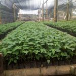 Profile Picture of Richar Galvez Granillo (@richargalvez38) on Instagram