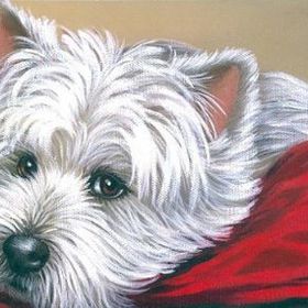 Profile Picture of Ann Mackenzie (@mistystar1) on Pinterest