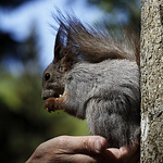 Profile Picture of Kevin William Elsmore (@kevin william elsmore) on Flickr