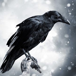 Profile Picture of Kay Probst (Light Dragonheart) (@sonicprobst) on Facebook