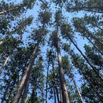 Profile Picture of avery sevenpifer (@avery_s7) on Instagram