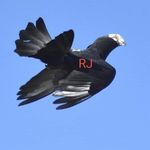 Profile Picture of Rocio Albarran (@rocioperezalbarran902) on Instagram