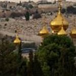 Profile Picture of Adnan Ayesh (@brazil_palestine) on Instagram