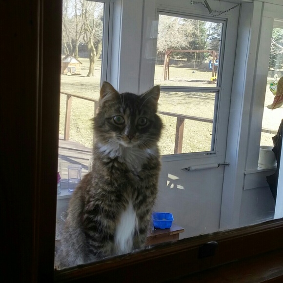 Profile Picture of Jessica Parsons (@11jpars) on Poshmark