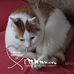 Profile Picture of Randi Bäck (Kristoffersen) (@randi.back.58) on Facebook