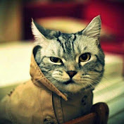 Profile Picture of Hugo Davis (@alexlixarev3878) on Youtube