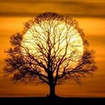 Profile Picture of leo Ménard (@leo_menard_00) on Instagram