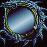 jeremy raymond dellomo - Instagram Profile Picture of jeremy raymond dellomo (@jeremydellomo) on Instagram