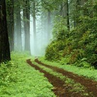 Profile Picture of Robert Kellough (@robertkellough) on Pinterest