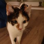 Chloe.wills.wissen - Instagram Profile Picture of Chloe.wills.wissen (@chloe.wills.wissen) on Instagram