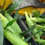 Profile Picture of Scott Koehn (@scott.koehn.14) on Facebook