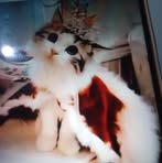 Profile Picture of Cristian G Resendiz (@cristian.g.resendiz) on Facebook