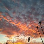 Profile Picture of Kyle Timmerman (@subculturekyle) on Instagram