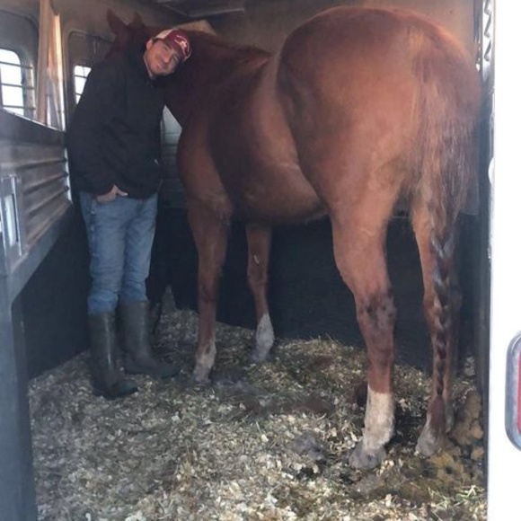 Profile Picture of Alex Joel (@alexjpeterson20) on Poshmark