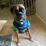 Profile Picture of Kyle (@kyle_demarest) on Instagram