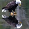 Profile Picture of Jerry Doe (@jerrydoe33) on Tiktok
