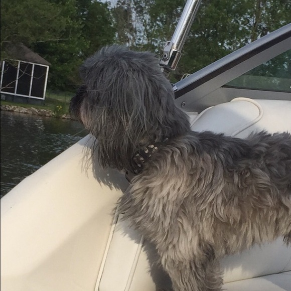 Profile Picture of Victoria Danquer (@toridanquer) on Poshmark