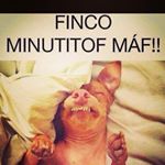 Profile Picture of Iris Jasso (@iris.jasso) on Instagram