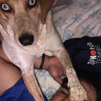 Profile Picture of Ivan Pizarro (@ivan-pizarro-1) on Quora