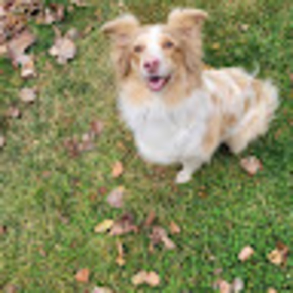 Profile Picture of Robert Mackay (@robertmackay22) on Poshmark