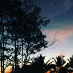 Profile Picture of S.Nicholas Adiewijaya (@adiewijaya_nicholas) on Instagram