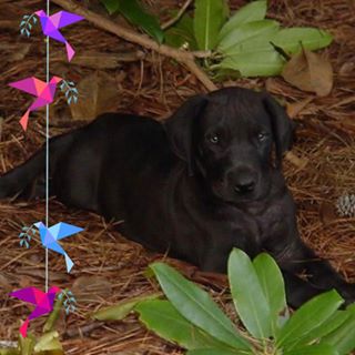 Profile Picture of Barry Dunlevy (@barry.dunlevy.7) on Facebook