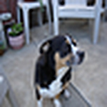 Profile Picture of Jeff, Bull Whip Apprentice (@Jeff, Bull Whip Apprentice) on Flickr