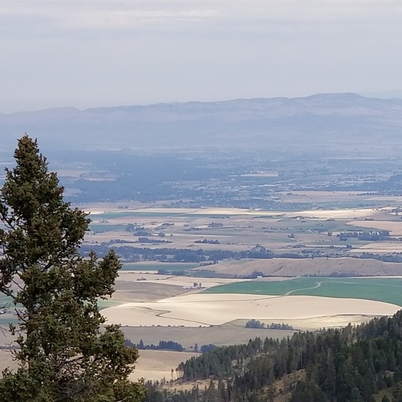 Profile Picture of Ruth Fear (@ruthfear15) on Poshmark