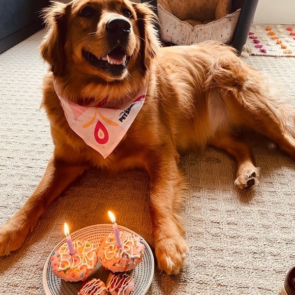 Profile Picture of Olivia Kanae (@okh1) on Poshmark