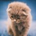 Profile Picture of Xiaolong Zhang (@xiaolong.zhang.3382) on Facebook