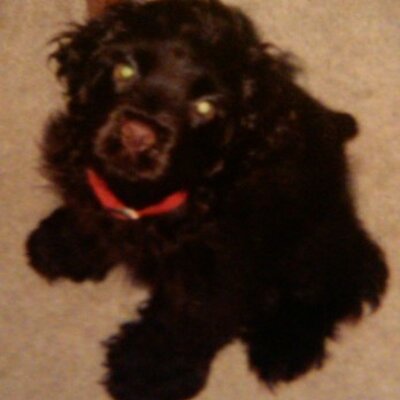 Profile Picture of Crystal Lupton (@clsmooth24) on Twitter