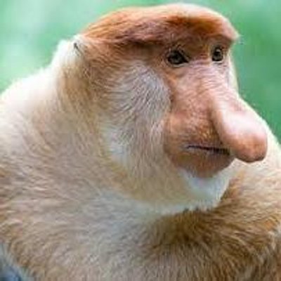 Profile Picture of David Pecina (@010David010) on Twitter