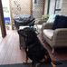 Profile Picture of Gwenda Roberts (@gwenda.roberts.9862) on Facebook