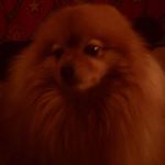 Profile Picture of Brian Costello (@brian.costello.792303) on Instagram